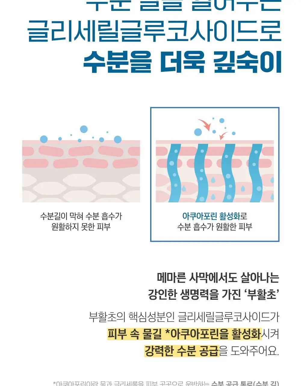 [눈멍이스티커] 라운드랩 자작나무 수분 선크림 50ml 1+1 기획 (+스티커 모음) (눈멍이 콜라보) 상세페이지 13